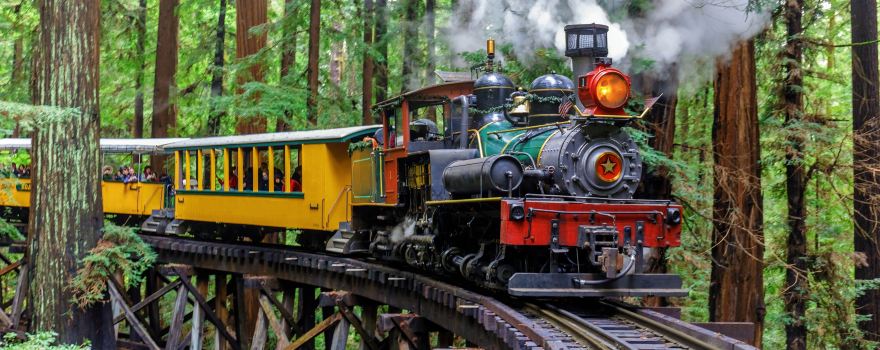 Roaring Camp