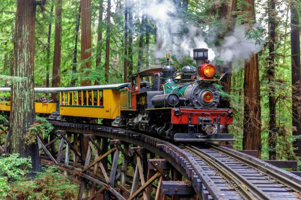 Roaring Camp