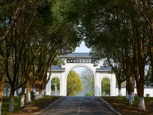 大口国家森林公園