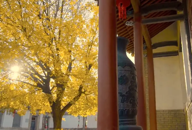 Attrazioni per la visione autunnale