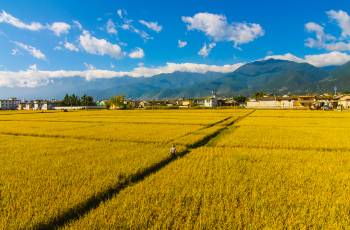 Top 20 Fall Viewing Attractions in Dali