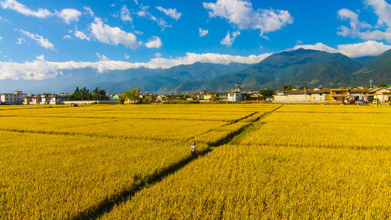 Dali Prefecture