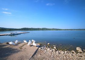 Hotels near Milan Malpensa Airport