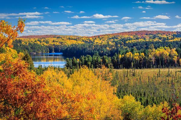 Algonquin Provincial Park