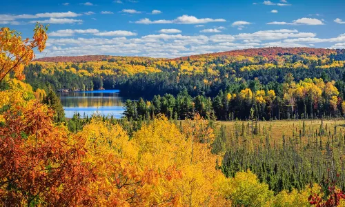 Parco Provinciale Algonquin