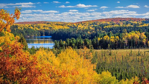 Algonquin Provincial Park