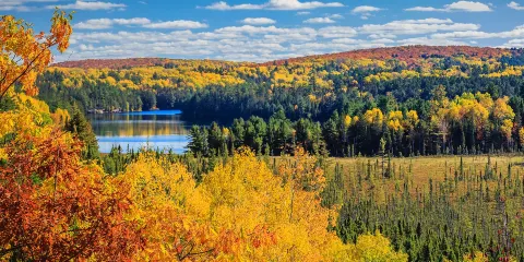 阿爾岡金省立公園