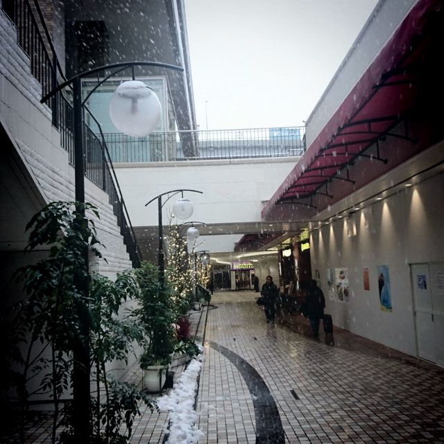 疫情下的日本關東