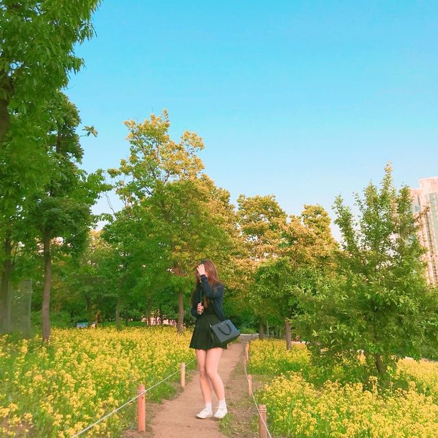 꽃보러 서울숲가자٩꒰｡•◡•｡꒱۶