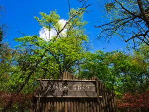 은시 핑바잉 국가삼림공원 관광지