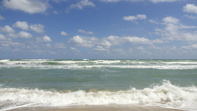 Helen’s Bay Beach Park And Garden