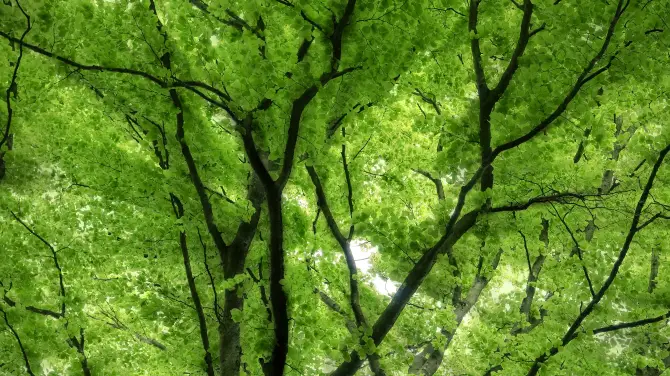 上方山國家森林公園