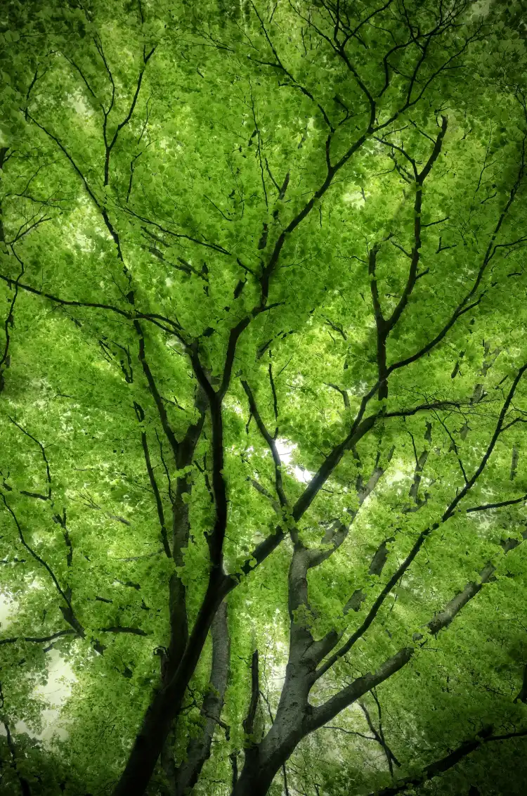 Các khách sạn gần Shangfanshan National Park