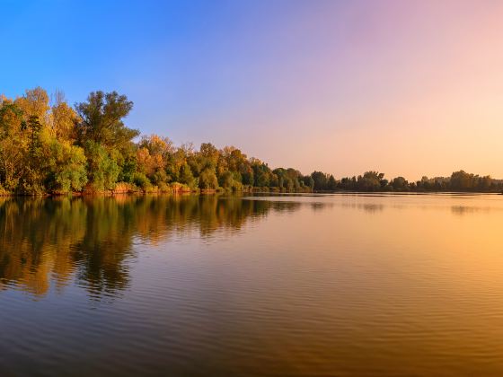 Xinyinxiang Taihu Forest Park