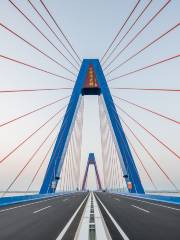 T-shaped Bay Bridge