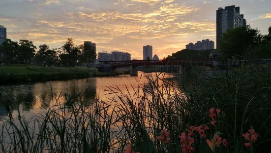 公園位於常德城西，在喜來登、萬達廣場和常德三館一中心旁邊，可