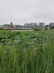 亞沙會奧林匹克公園