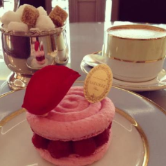 Laduree User Photo