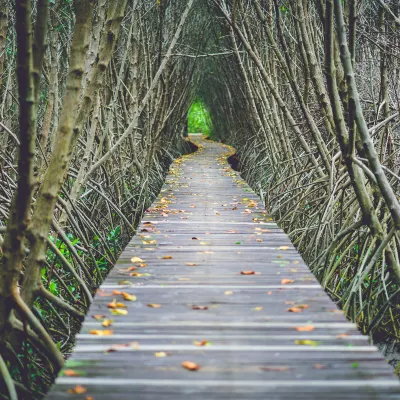 Отели рядом со станцией Medan Tuanku