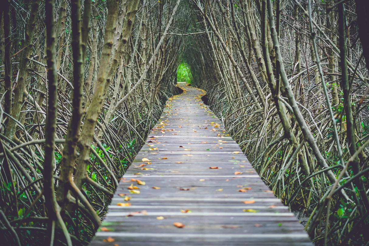 2_Taman Alam Kuala Selangor