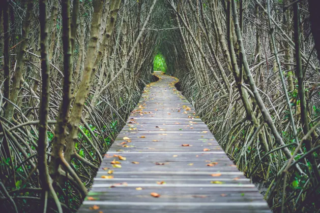 Отели с услугой Завтрак в г. Сайберджая