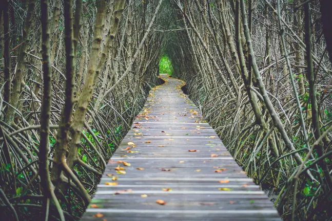 Класс люкс Отели в г. Петалинг-Джая