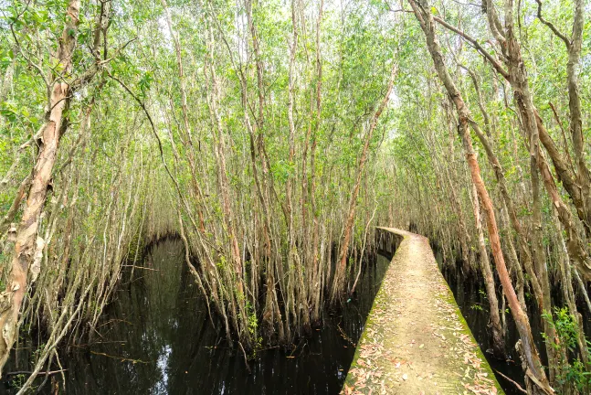 Бутик Отели в г. Ампанг Джая