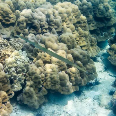 Для бизнес-поездок Отели в г. Такуа Па