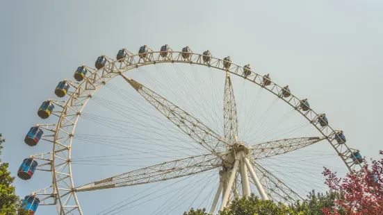 智遊跑樂園