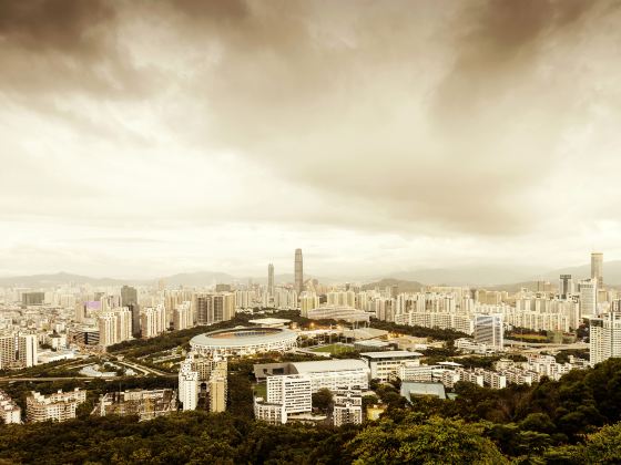 Shenzhen Stadium