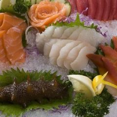 KOI SU SHI 여행 사진