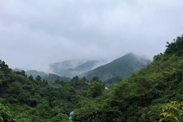 Qingyuan Bijiashan Canyon Drifting
