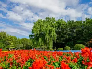 Taster Scenic Area