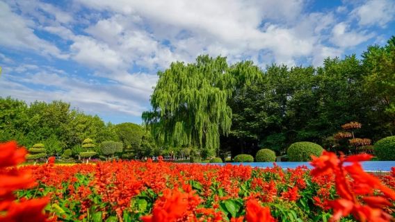 Taster Scenic Area