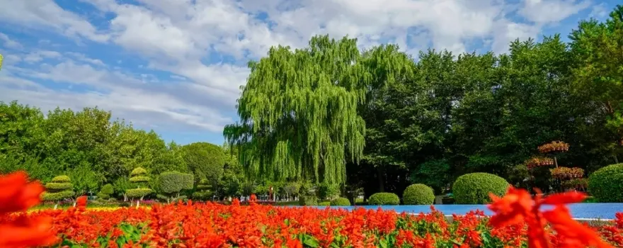Taster Scenic Area