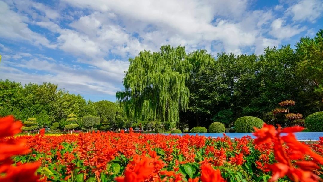Taster Scenic Area