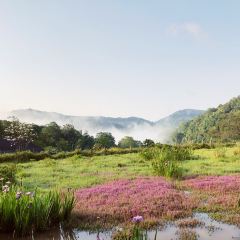 小熊猫庄园·西餐厅 User Photo