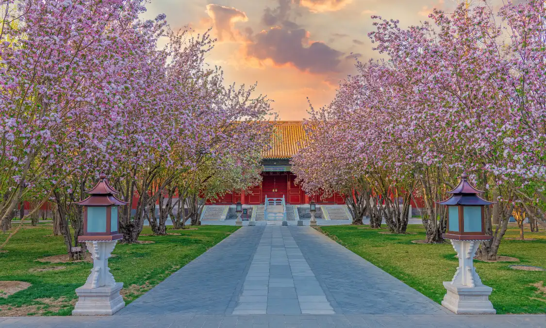 海棠公園附近的飯店