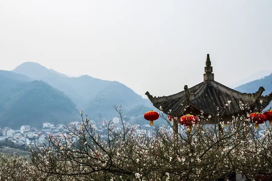 Lilac Field, Dongcun Village, Wangtan Town