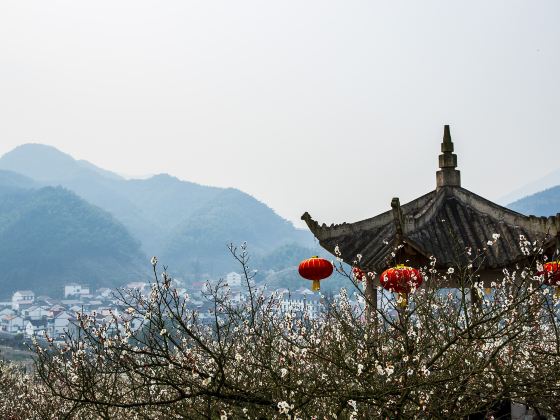 Lilac Field, Dongcun Village, Wangtan Town