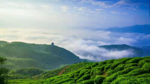 西九華山風景区