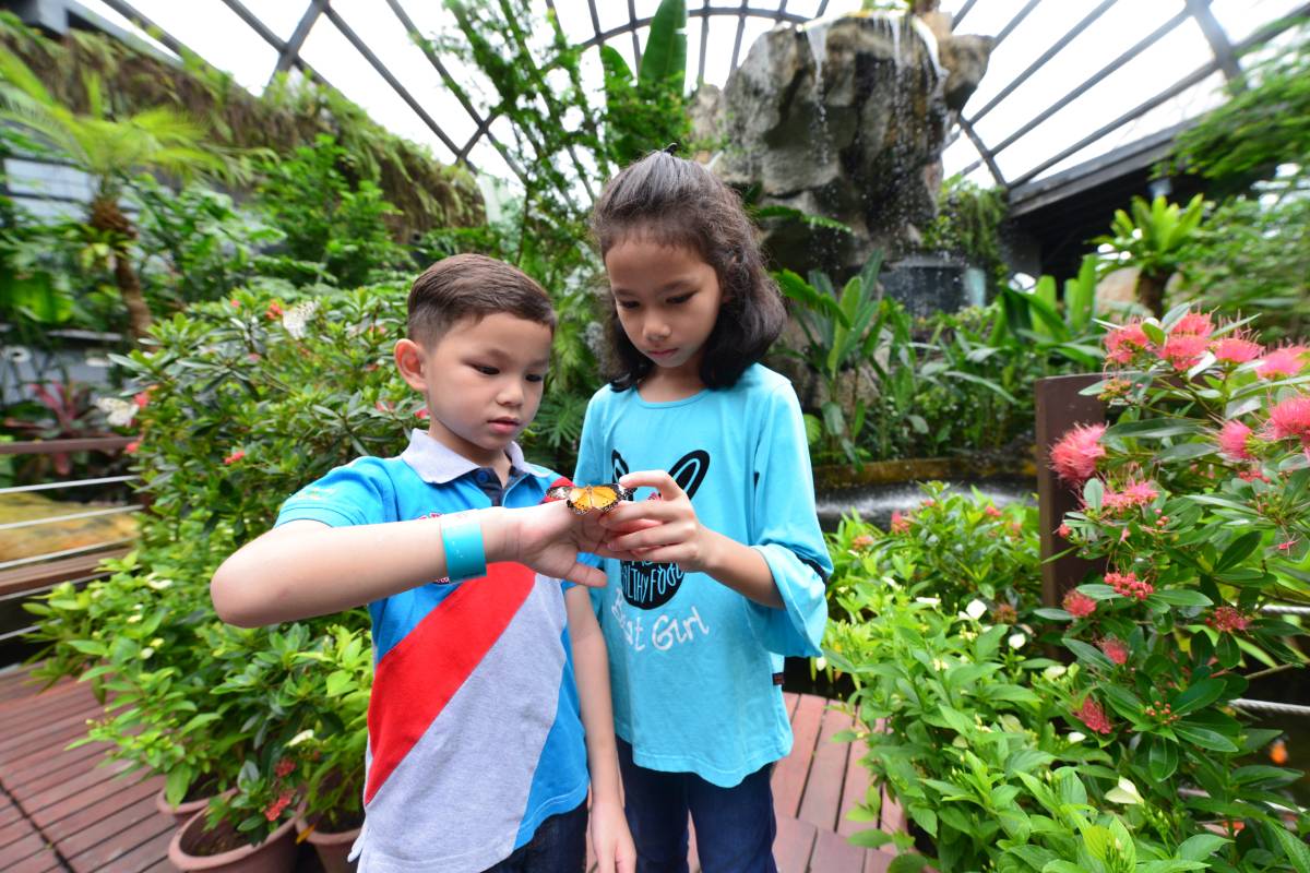 Penang Butterfly Farm