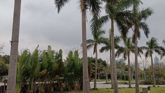 位置略偏，如果不是雲洞，不會過來。世紀公園以貫穿南北的世紀大