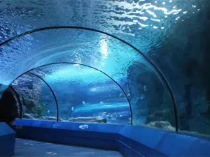 Zhongtai Ocean World