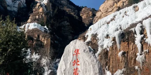 駱駝灣