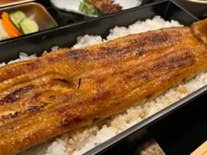 UNAGIHASHIMOTO
