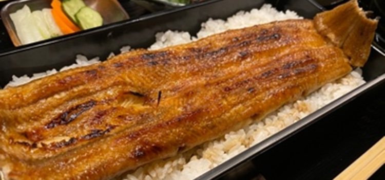 UNAGIHASHIMOTO