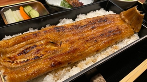 UNAGIHASHIMOTO