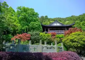 老龍井十八棵御茶園