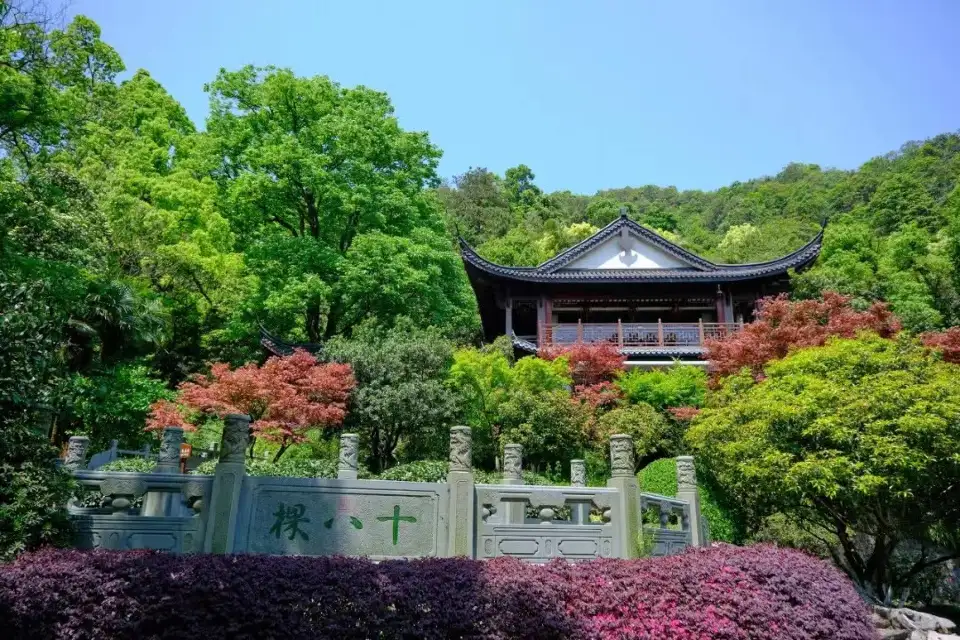 1_老龍井十八棵御茶園